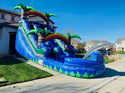 Palm/Dolphin Water Slides